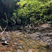 ヒメ日記 2025/05/11 09:39 投稿 ノア Club 妻