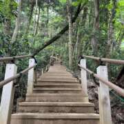 ヒメ日記 2025/05/12 13:30 投稿 ノア Club 妻