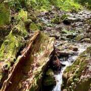 ヒメ日記 2025/05/13 11:32 投稿 ノア Club 妻