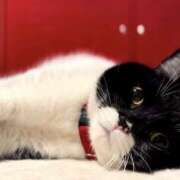 ヒメ日記 2025/05/16 11:38 投稿 ノア Club 妻