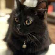 ヒメ日記 2025/05/17 11:39 投稿 ノア Club 妻