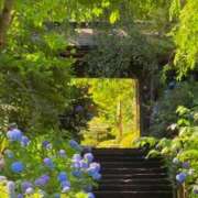 ヒメ日記 2025/06/13 11:35 投稿 ノア Club 妻