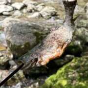 ヒメ日記 2025/07/14 12:03 投稿 ノア Club 妻