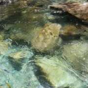 ヒメ日記 2025/07/19 11:31 投稿 ノア Club 妻