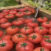 ヒメ日記 2025/07/28 12:39 投稿 ノア Club 妻