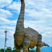 ヒメ日記 2025/08/08 11:48 投稿 ノア Club 妻