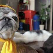 ヒメ日記 2025/08/09 11:13 投稿 ノア Club 妻