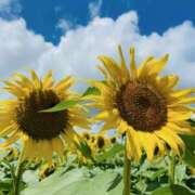 ヒメ日記 2025/08/12 11:08 投稿 ノア Club 妻