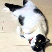 ヒメ日記 2025/08/19 11:06 投稿 ノア Club 妻