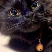 ヒメ日記 2025/08/22 10:20 投稿 ノア Club 妻