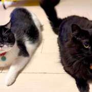 ヒメ日記 2025/08/23 11:23 投稿 ノア Club 妻