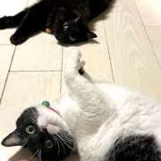 ヒメ日記 2025/09/01 12:53 投稿 ノア Club 妻