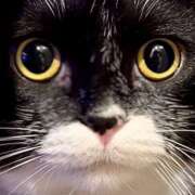 ヒメ日記 2025/09/06 11:08 投稿 ノア Club 妻