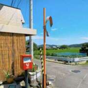 ヒメ日記 2025/09/09 11:26 投稿 ノア Club 妻