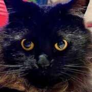 ヒメ日記 2025/09/11 10:31 投稿 ノア Club 妻