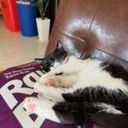 ヒメ日記 2025/09/23 11:40 投稿 ノア Club 妻