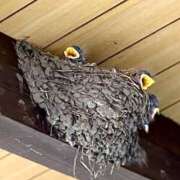 ヒメ日記 2025/10/02 11:47 投稿 ノア Club 妻