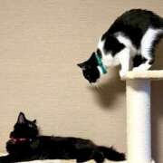 ヒメ日記 2025/10/05 09:27 投稿 ノア Club 妻