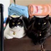 ヒメ日記 2025/10/09 11:33 投稿 ノア Club 妻