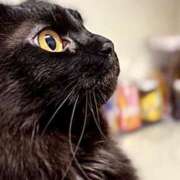 ヒメ日記 2025/10/18 11:27 投稿 ノア Club 妻