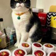 ヒメ日記 2025/10/22 11:08 投稿 ノア Club 妻