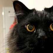 ヒメ日記 2025/10/24 14:32 投稿 ノア Club 妻