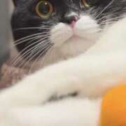 ヒメ日記 2025/10/26 14:38 投稿 ノア Club 妻