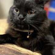 ヒメ日記 2025/10/27 14:24 投稿 ノア Club 妻