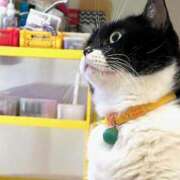 ヒメ日記 2025/10/28 11:29 投稿 ノア Club 妻