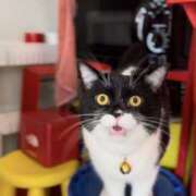 ヒメ日記 2025/10/29 11:38 投稿 ノア Club 妻