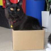 ヒメ日記 2025/10/30 11:35 投稿 ノア Club 妻