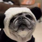 ヒメ日記 2025/10/31 12:06 投稿 ノア Club 妻