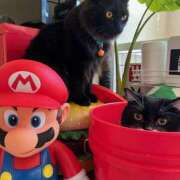 ヒメ日記 2025/11/04 11:25 投稿 ノア Club 妻