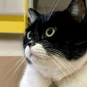 ヒメ日記 2025/11/07 11:35 投稿 ノア Club 妻