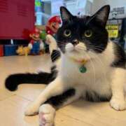 ヒメ日記 2025/11/10 11:30 投稿 ノア Club 妻