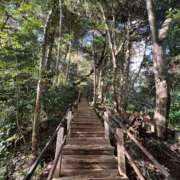 ヒメ日記 2025/11/11 11:27 投稿 ノア Club 妻