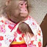 ヒメ日記 2025/11/19 11:45 投稿 ノア Club 妻