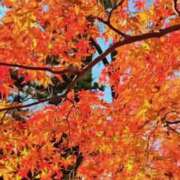 ヒメ日記 2025/11/21 11:28 投稿 ノア Club 妻