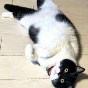 ヒメ日記 2025/11/25 11:01 投稿 ノア Club 妻