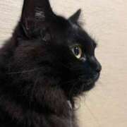 ヒメ日記 2025/11/27 11:28 投稿 ノア Club 妻