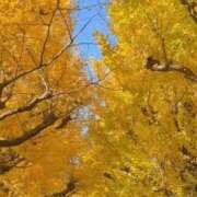 ヒメ日記 2025/12/06 10:43 投稿 ノア Club 妻