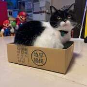 ヒメ日記 2025/12/15 12:21 投稿 ノア Club 妻