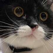 ヒメ日記 2025/12/19 11:19 投稿 ノア Club 妻