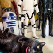 ヒメ日記 2025/12/20 11:06 投稿 ノア Club 妻