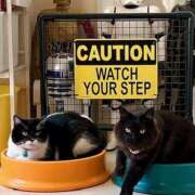 ヒメ日記 2025/12/23 11:41 投稿 ノア Club 妻