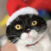 ヒメ日記 2025/12/24 11:20 投稿 ノア Club 妻