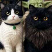 ヒメ日記 2025/12/28 09:54 投稿 ノア Club 妻