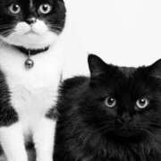 ヒメ日記 2025/12/29 10:06 投稿 ノア Club 妻