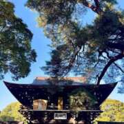 ヒメ日記 2026/01/22 11:32 投稿 ノア Club 妻