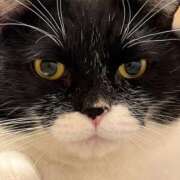 ヒメ日記 2026/01/29 11:25 投稿 ノア Club 妻